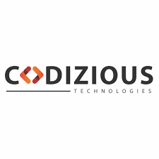 codizious-best-it-companies-of-rajkot