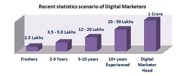 Digital Marketers Statistics