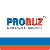 probuz-best-IT-company-in-Nagpur